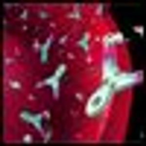 Bevacizumab Shows Promise in Non-Small-Cell Lung Cancer as Maintenance Therapy