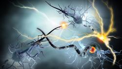 Neural Cell Therapy Reduce Seizures in MTLE 
