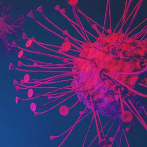 Adagrasib Shows Early Efficacy in KRAS G12C-Mutant NSCLC and CRC