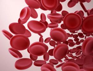 Gene Found to Enable Deadly Myelodysplastic Syndromes
