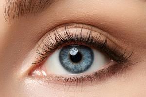 Multi-Characteristic Opsin Gene Therapy for Retinitis Pigmentosa Improves Multiple Measures of Vision