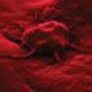Targeting Mitosis: First Polo-Like Kinase Inhibitor Moves Closer to FDA Approval