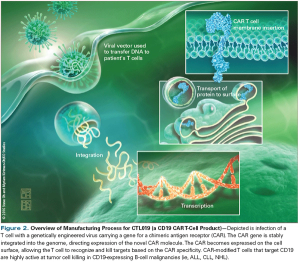 The Promise of Chimeric Antigen Receptor T-Cell Therapy