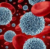 B Cell Depletion Therapy Appears Effective For Multiple Sclerosis Therapy