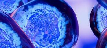 stem cell