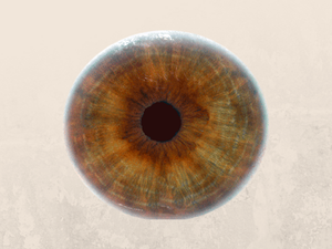 Second Gene Therapy from MeiraGTx Granted Rare Pediatric Disease Designation