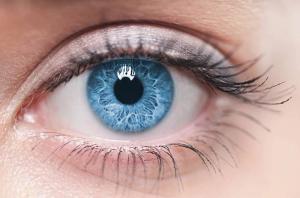 Eye