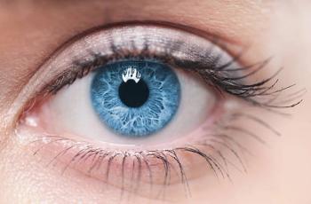 Eye