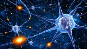 Patients Treated With AskBio’s Limb-Girdle Muscular Dystrophy Gene Therapy AB-1003 Free of Serious Adverse Events at Up to 52 Weeks