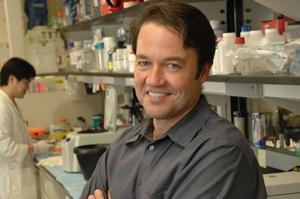 Sickle Cell Disease Gene Therapy on Hold After Adverse Events