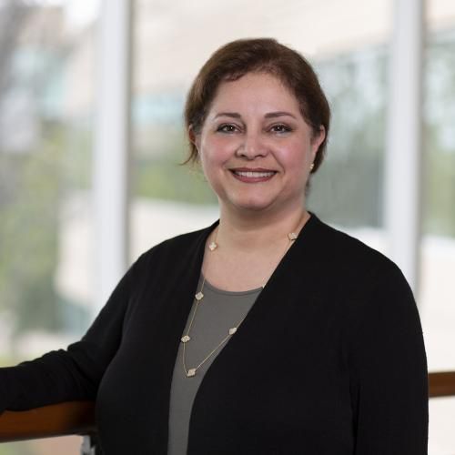 Maria Fardis, PhD, MBA, president and chief executive officer, Iovance