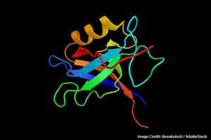 For Advanced Sarcoma, Adding Lymphodepletion to HER2-Targeted CAR T-Cell Therapy Excites 
