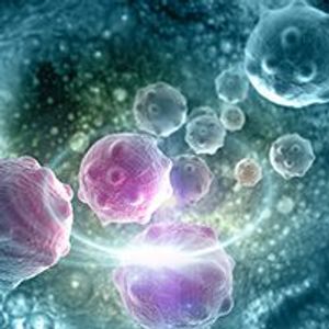 Exploring CAR T-Cell Therapy During the COVID-19 Pandemic: What's on the Horizon for CAR T-Cell Therapies