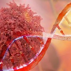 CAR T-Cell Therapy During the COVID-19 Pandemic: A Closer Look at Real-World Data