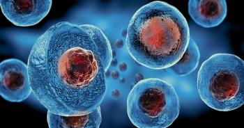 No Time to Pause: Companies Abandon Lagging Cell Therapy Programs