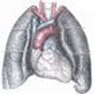 First-Line Necitumumab Improves Survival in Metastatic Squamous NSCLC