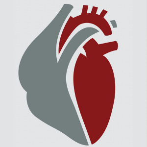 Altering the Optics of Cardiovascular Disease: How the CANTOS Findings are Changing Physicians' Approach to CVD