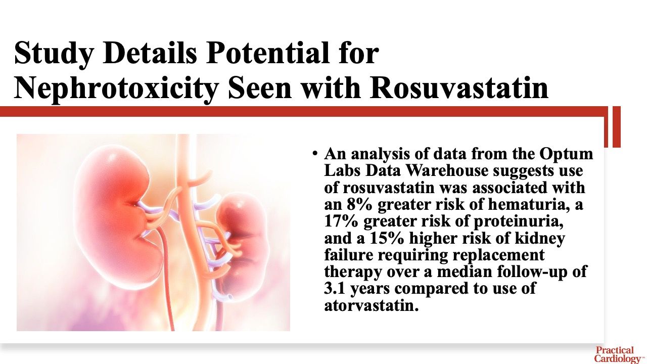Recap of study detailing potential nephrotoxicity of rosuvastatin