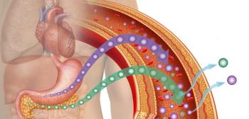 Type 2 Diabetes and RA Linked at the Core?