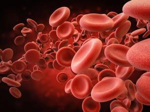 BLA Submitted for ALXN1210 as Treatment for Patients with Ultra-Rare PNH