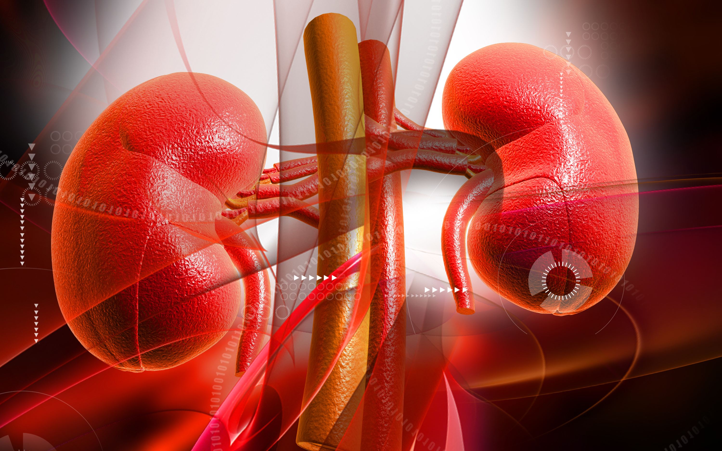 No Excess Risk of Kidney Injury for ARNI Initiation in RASi Naive Patients