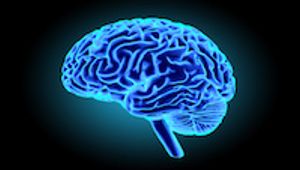 Monomethyl Fumarate Challenges Multiple Sclerosis
