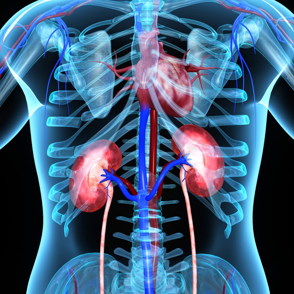 Depagliflozin Lowers Risk of Decline in Late-Stage Kidney Disease