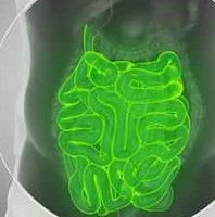 Liver Disease More Prevalent In Patients With Crohn S Disease Liver Disease More Prevalent In Patients With Crohn S Disease