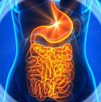 Gut Microbiota Differs in HCV Patients, Healthy Individuals