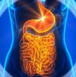 Gut Microbiota Differs in HCV Patients, Healthy Individuals
