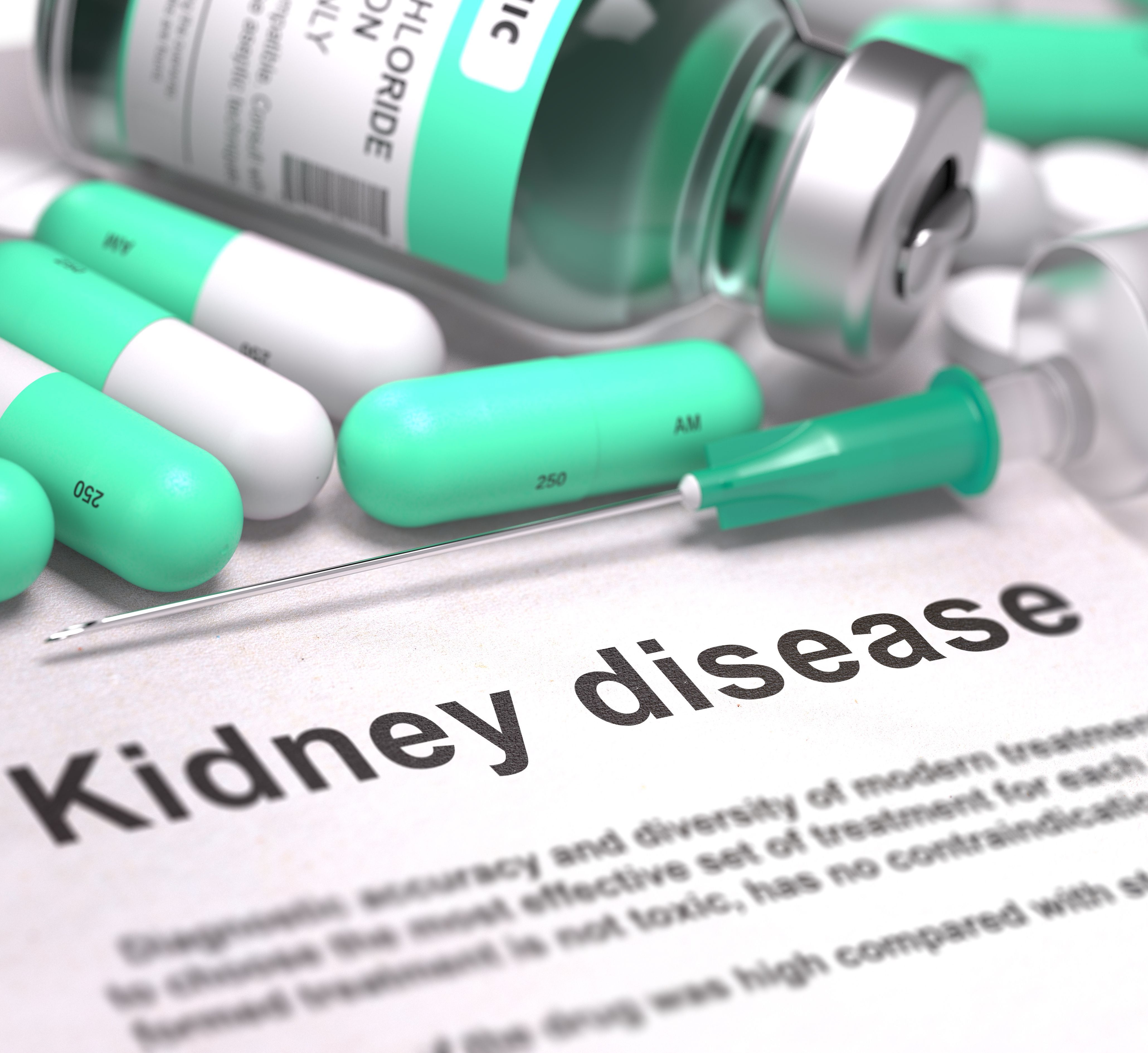 Hydroxychloroquine, Leflunomide Improve Proteinuria, Renal Function in IgAN