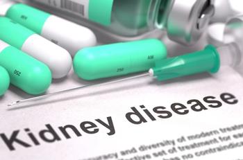 Kidney Disease | Credit: Fotolia