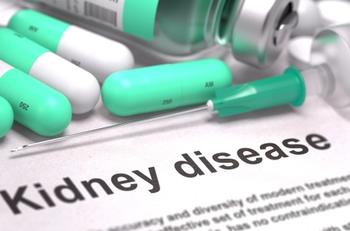 Kidney disease | Credit: Fotolia