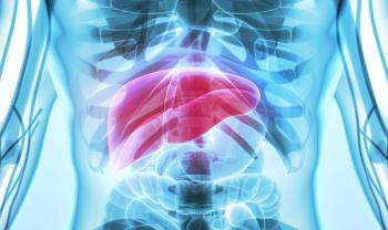 Liver | Credit: Adobe Stock