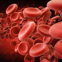 Rilzabrutinib Achieves Phase 3 Primary Endpoint in Immune Thrombocytopenia