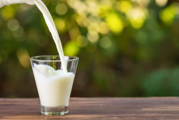 Credit: Adobe Stock/ alter_photo