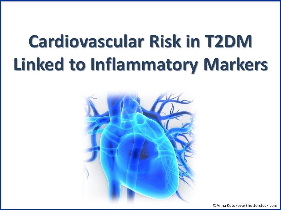 T2dm Heart Cardiovascular Risk in T2DM Linked to Inflammatory Markers