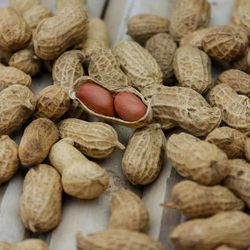 Peanut-Sensitized Infants with Eczema Already Co-Sensitized to Tree Nuts