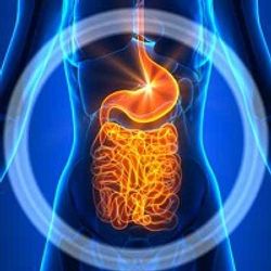 Gap Persists in Patient-Clinician Communication Despite Similar Views on Diet’s Role in IBD