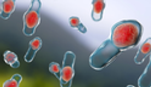 Clostridium Difficile Infection Associated With Higher Mortality Rates in Patients With Cirrhosis