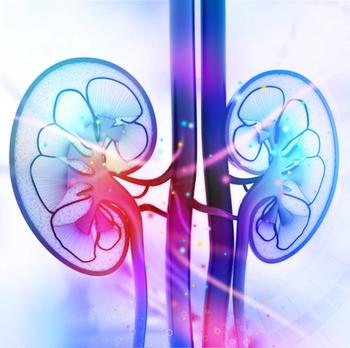 Hydroxychloroquine Effective for Proteinuria Reduction in Primary Glomerular Disease