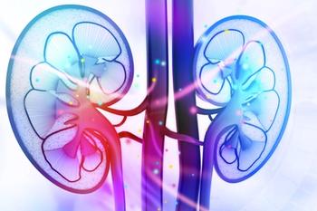 Kidneys | Credit: Fotolia