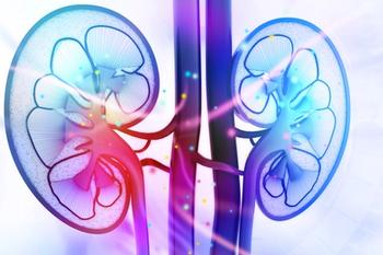 Kidneys | Credit: Fotolia