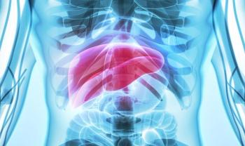 abdominal region x-ray with liver highlighted in red | Credit: Adobe Stock