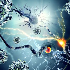 CMSC 2017: Gaining a Better Understanding of Multiple Sclerosis