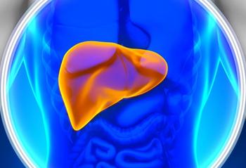 Liver | Credit: Adobe Stock