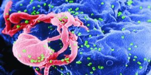 Acute Hepatitis C on the Rise Among Young People