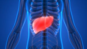 ARO-HBV Reduces All Measurable Viral Products in Patients with Chronic Hepatitis B Virus Infection