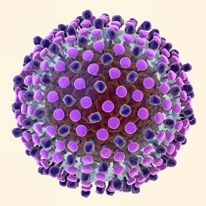 Hepatitis C Clinic in India Treating Patients for Free in Doctors Without Borders Project
