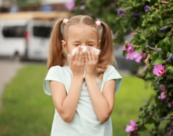 Credit: Adobe Stock/ Pixel-Shot